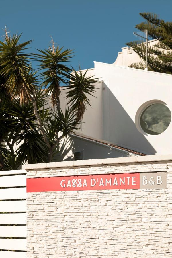 B&B Gassa D'amante Vieste Exterior foto